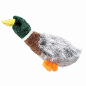 GR Squawk Flock Mallard