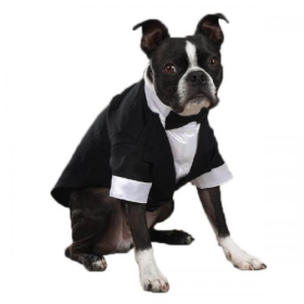 East Side Coll Yappily Ever After Groom Tux (Color: White, size: Xsmall)