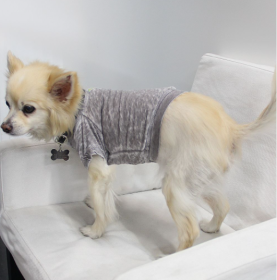 Doggy Tee (Color: Coco, size: large)