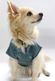 Doggy Tee (Color: Hunter, size: large)