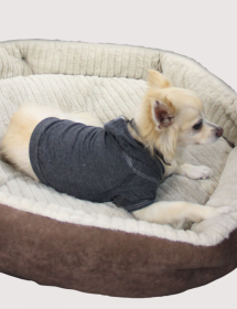 Doggy Hoodie (Color: Black, size: medium)