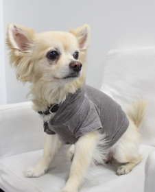 Doggy Hoodie (Color: Coco, size: Mini)