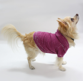 Doggy Hoodie (Color: Magenta, size: large)