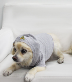 Doggy Hoodie French Terry (Color: Asphalt, size: small)