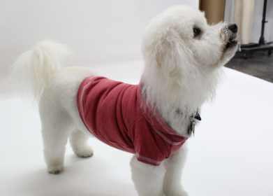 Doggy Hoodie French Terry (Color: Brick, size: medium)